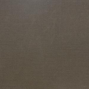 Canvas - Taupe image